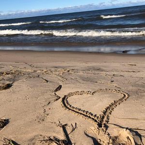 Meet your Posher, Janey